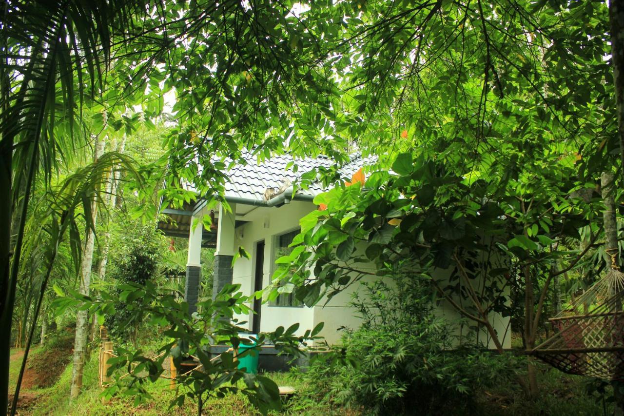 Vintage Garden Resort Sultans Battery Exteriör bild